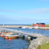 SUE_5871